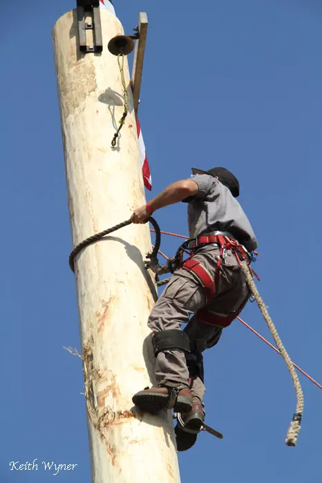 A person climbs a tall wooden pole using safety gear and a rope.