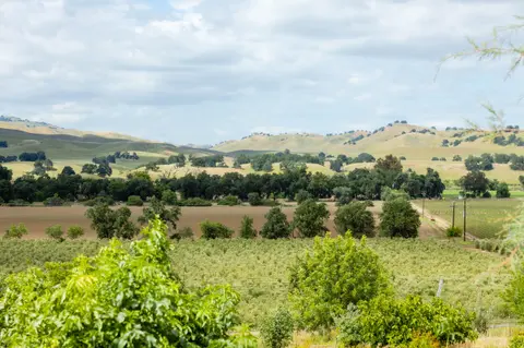 A scenic landscape view of rolling hills, trees, and fields under a cloudy sky.
