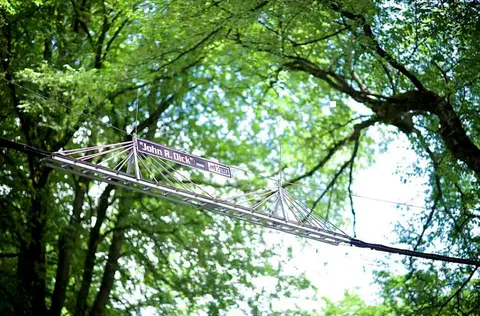 A small bridge structure hangs amidst green trees.