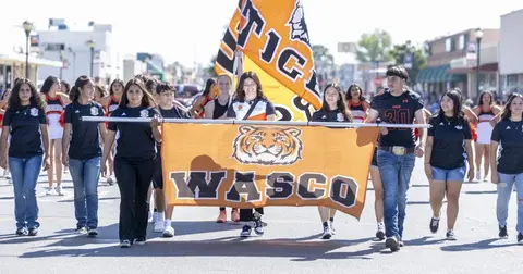 A group of students carry a tiger-themed banner in a street parade.