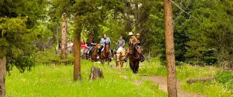 A group of people ride horses along a trail through a forest.
