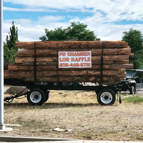 A large trailer loaded with logs sits outdoors under a cloudy sky.