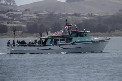 A boat carrying passengers travels across the water.