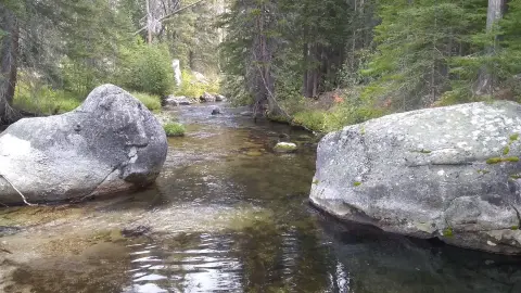 A clear stream flows through a forested area with large boulders.