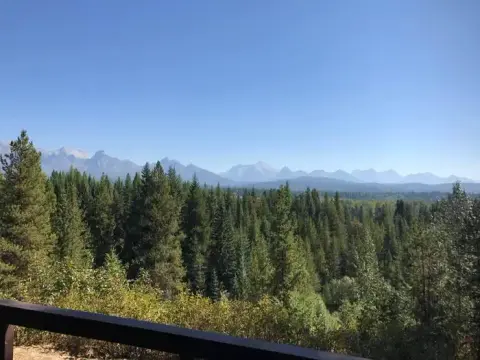 A view of a forested landscape with mountains in the distance under a blue sky.