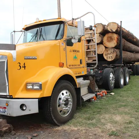 A yellow logging truck loaded with logs is parked on grass.
