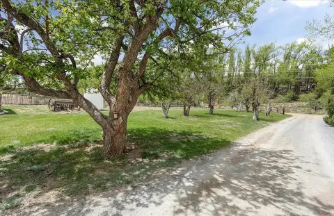 A dirt road runs past a grassy yard with mature trees.