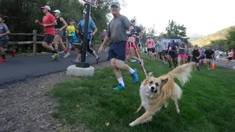 A man runs along a path with his dog while other people participate in a race.