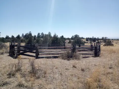 A circular wooden corral stands in a dry, grassy field with trees in the background.