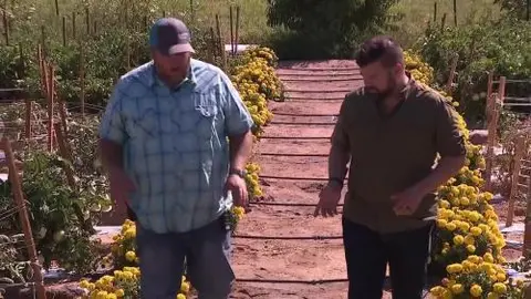 Two men walking along a path in a garden.