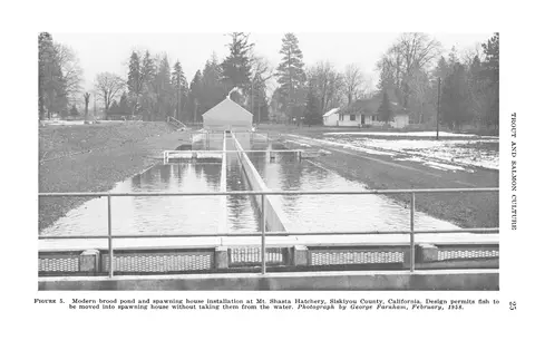 Black and white photograph showing a modern brood pond and spawning house installation with raceways.