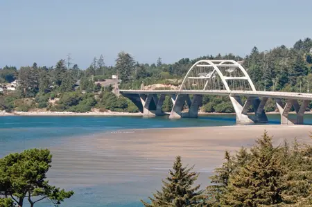 A bridge spans across a body of water with trees and sandy shores in the background.