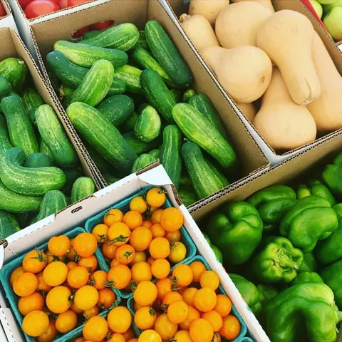 A variety of fresh vegetables are arranged in boxes.