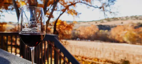A glass of red wine stands in the foreground with an outdoor landscape in the background.
