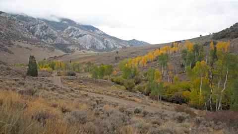 A dirt road winds through a valley with autumn-colored trees and mountains in the distance.