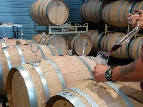 A person uses a thief to pour wine from a barrel into a glass in a cellar.