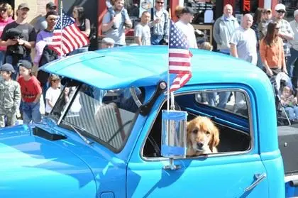 A dog looks out from the window of a blue pickup truck decorated with American flags, surrounded by a crowd.