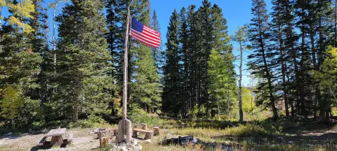 An American flag flies on a pole in a forested campsite.
