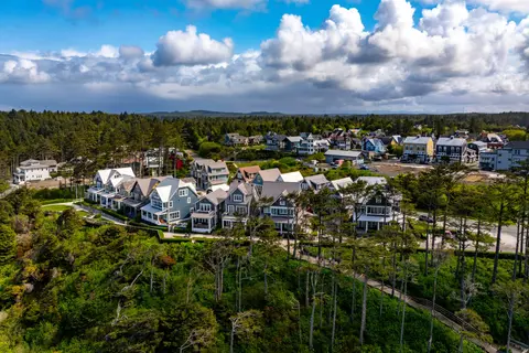 An aerial view of houses nestled near a forest and coastline under a cloudy sky.