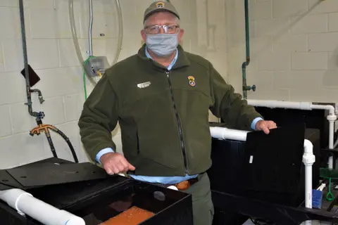 A man wearing a mask and uniform stands inside an indoor facility with tanks containing fish eggs.