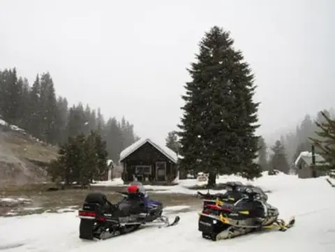 Two snowmobiles parked in a snowy landscape near a cabin and tall pine tree.