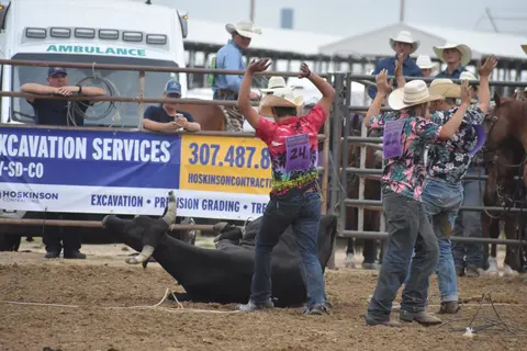 Cowboys celebrate as a steer lies on the ground at a rodeo.