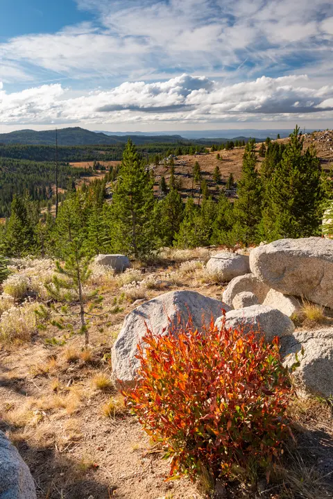 Landscape view, Elkhorn Drive Scenic Byway.