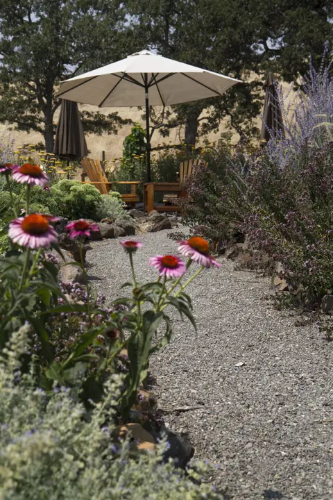 A gravel path winds through a garden with purple flowers and an umbrella in the background.