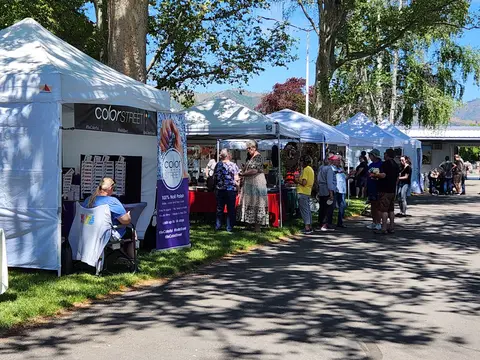 A row of vendor booths set up outdoors on a sunny day with people browsing.
