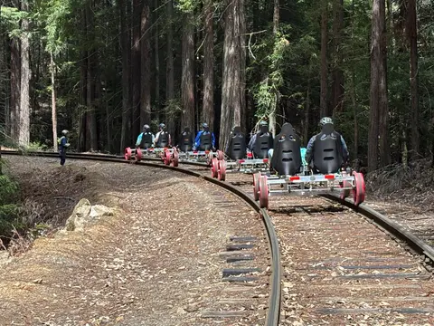 People ride rail bikes on a track through a forest.