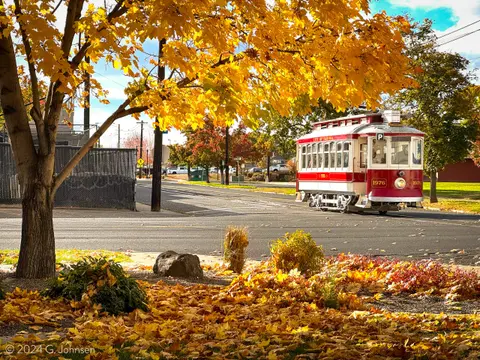 A red and white streetcar travels along a street surrounded by autumn trees.