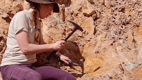 A person uses a rock hammer to chip away at a rocky outcrop.