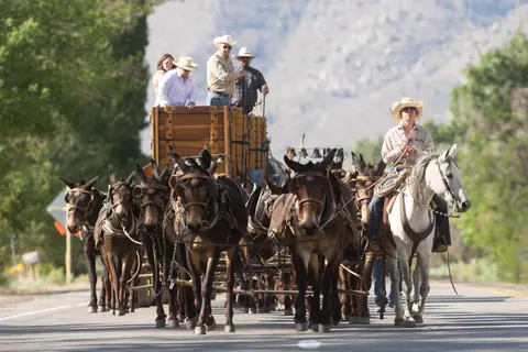 A large wagon pulled by a team of mules along a road with a rider on a white horse beside it.
