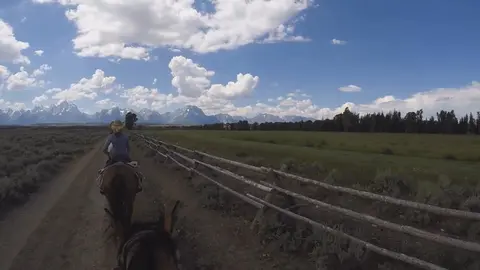 A person rides a horse along a dirt path next to a wooden fence.