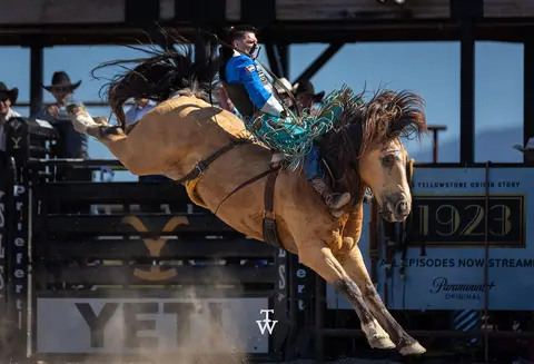 A cowboy rides a bucking horse at a rodeo.