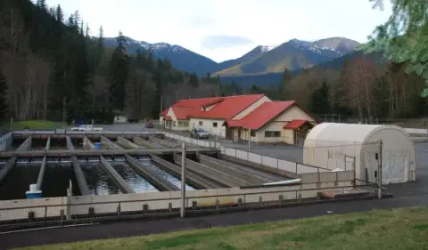 An outdoor view of a fish hatchery with raceways, buildings, and mountains in the background.