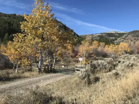 A dirt road leads past a metal gate toward trees with autumn foliage and mountains.