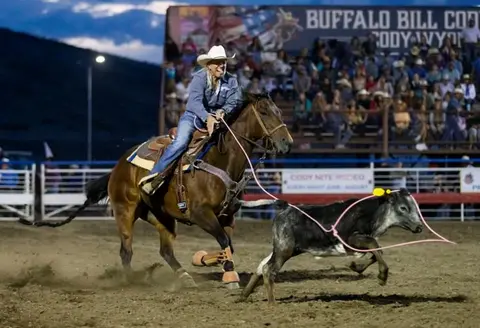 A rider ropes a calf at a rodeo event.
