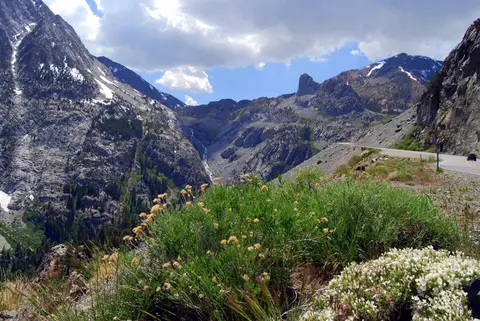 A scenic view of rocky mountains and a winding road with green vegetation in the foreground.