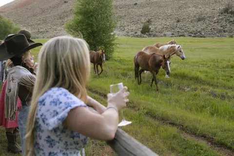 People watch horses in a grassy field.