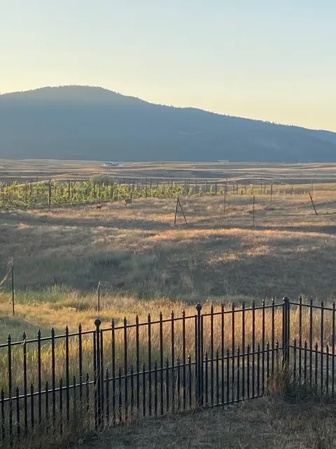 A landscape view featuring rolling fields, a distant mountain, and a metal fence in the foreground.