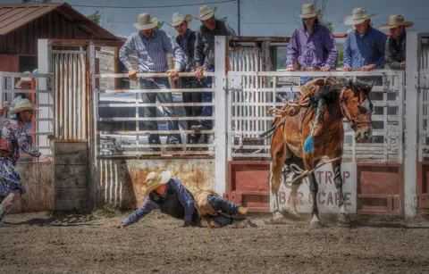 A cowboy falls off a bucking horse at a rodeo as spectators watch from behind a gate.
