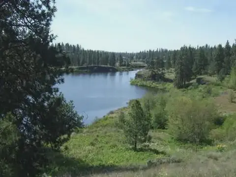 A river winds through a forest and grassy landscape.