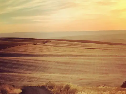 Rolling hills under a warm sunset sky.