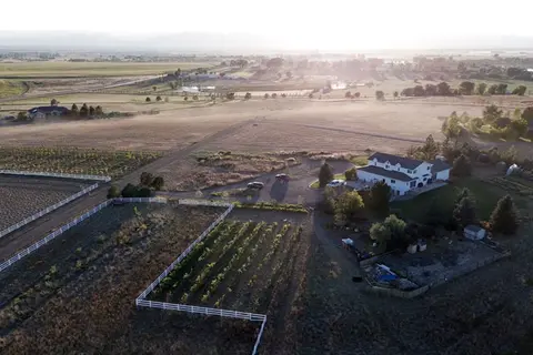 Aerial view of a rural property with a large house, fields, and white fences at sunrise.