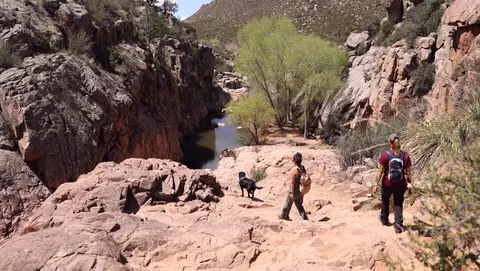 People hiking with a dog in a rocky canyon near water.