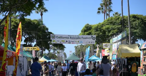 An outdoor street festival with booths, tents, and a welcome banner under trees and palm trees.