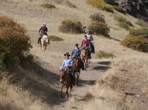 A group of people ride horses along a dirt trail on a grassy hill.