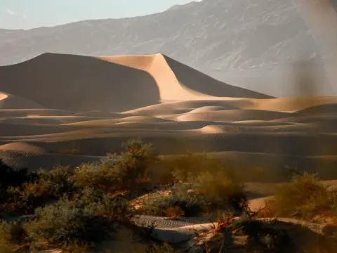 Sand dunes under a clear sky with distant mountains.