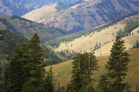A view of rolling hills and mountains covered in trees.